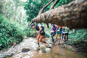 BIB: 
                            <button type="button" onclick="openModal(25375236)" class="btn btn-primary btn-sm float-right btn-popup" data-toggle="modal" data-target=".modal-high-quality">
                        <i class="fas fa-shopping-cart"></i> Add to Cart
                    </button>
                                            <button type="button" onclick="isThisMe(25375236, true)" class="btn btn-success btn-sm float-right btn-popup btn-isme hidden" data-toggle="tooltip" data-placement="bottom" title="นี่คือรูปของคุณใช่ไหม คลิกที่นี่เพื่อเอาเข้าอัลบั้ม">
                        <i class="fas fa-plus"></i> Add to album
                    </button>
                    <button type="button" onclick="isThisMe(25375236, false)" class="btn btn-warning btn-sm float-right btn-popup btn-isnotme hidden">
                        <i class="fas fa-ban"></i> Remove from album
                    </button>